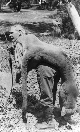 Herman Keene Carrying Dead Mountain Lion