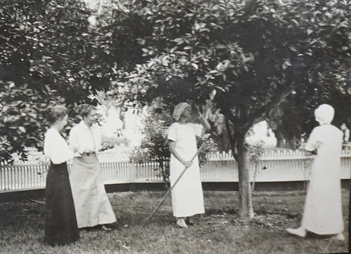 Women Picking Oranges