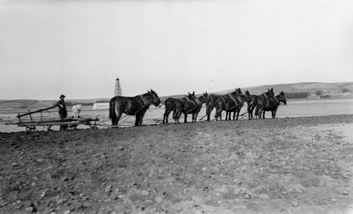 Stockton Plow