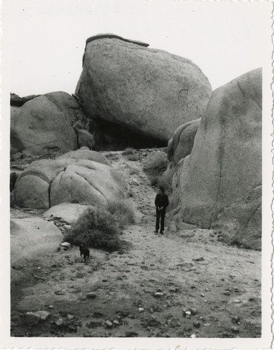 Ruth and Perky in Joshua Tree National Park