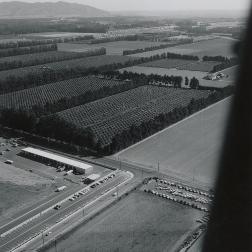 Wooley Road City Yards and Farm Fields Landscape