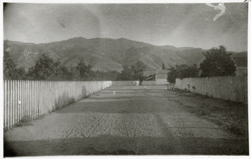 Entrance Road to Rancho Camulos
