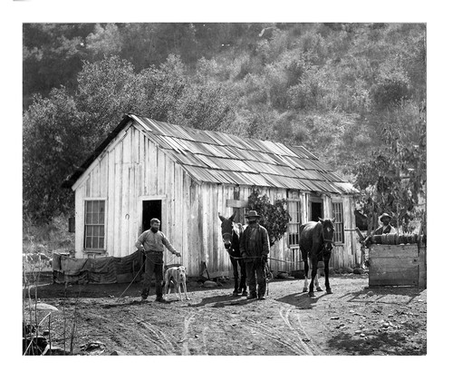 Three Men in Front of Nick Walnut Homestead