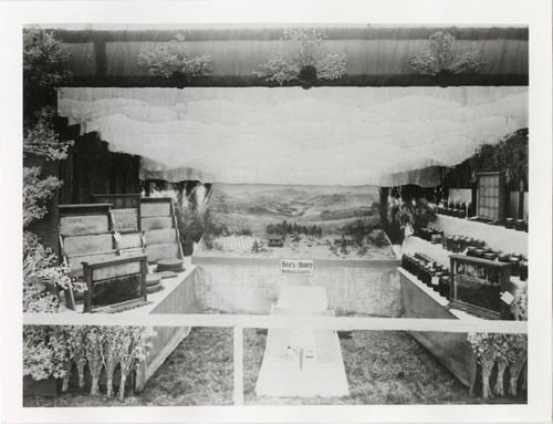 Ventura County Fair Bees and Honey Exhibit, 1923