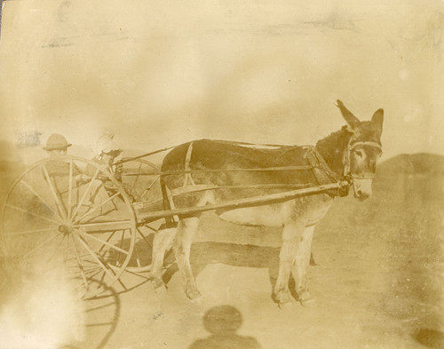 Mabel and Harry Nelson with Their Burro