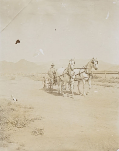 Man on Horse Pulled Carriage