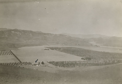 McFarland Ranch Landscape