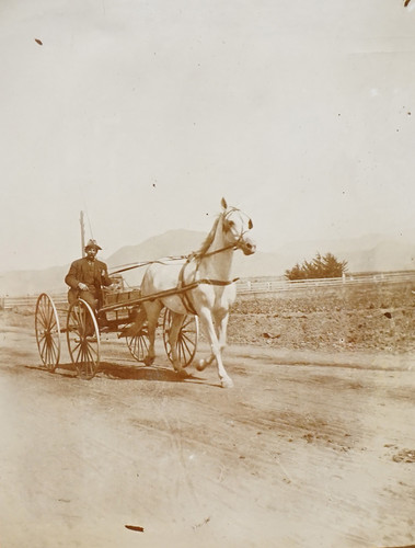 Man Riding Carriage Pulled by One White Horse