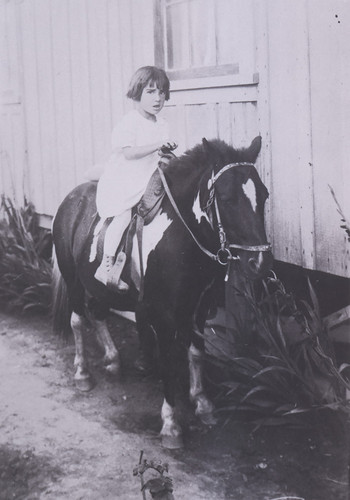 Ruth Ventura Zapf Riding Pony