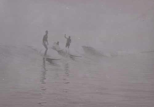 Surfers Riding a Wave