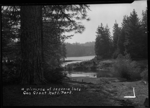 "A Glimpse of Sequoia Lake Gen Grant Nat'l Park"