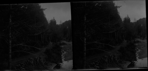 Woods Creek Canyon looking up the Creek