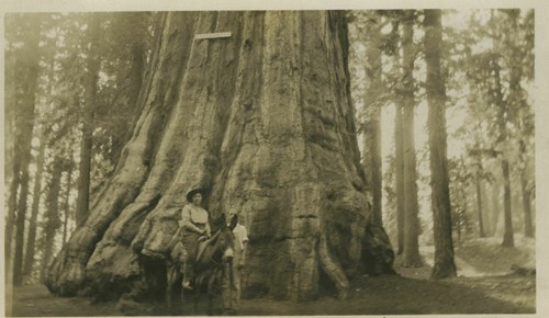 Edna on donkey at California Tree