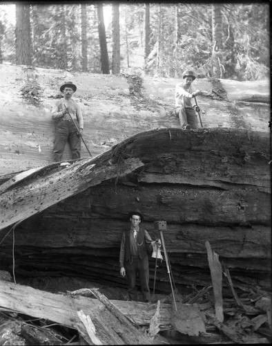 Logger Portrait by fallen Sequoia