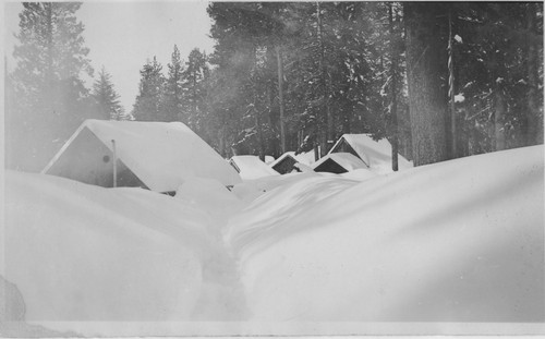 Snow covered buildings