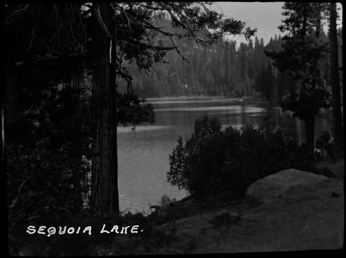 "Sequoia Lake."