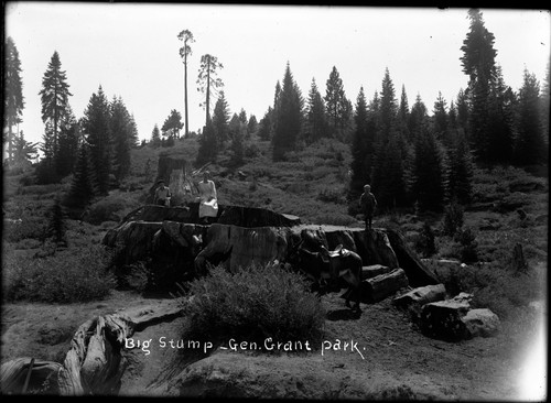 Big Stump Basin