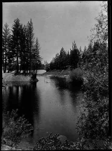 Sequoia Lake