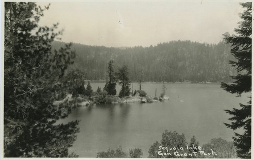 "Sequoia Lake Gen Grant Park"