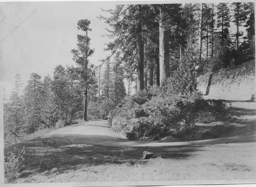 Switchback on road from park Headquarters to Sequoia Park