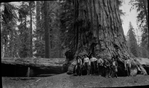 Men by sequoia, Fallen Monarch in background