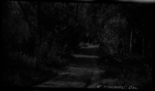 "At Pinehurst, Cal