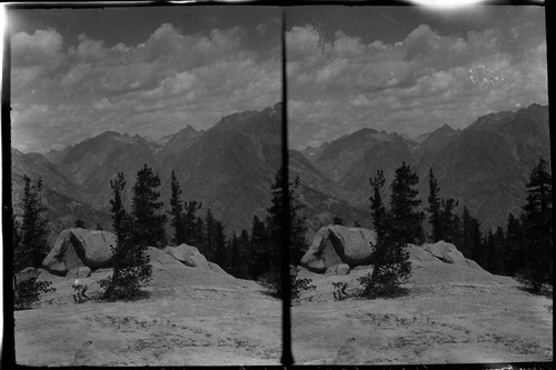 View from near top of Dougherty Ridge showing Goddard and Disapp