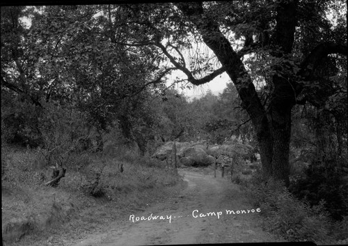 "Roadway ... Camp Monroe"