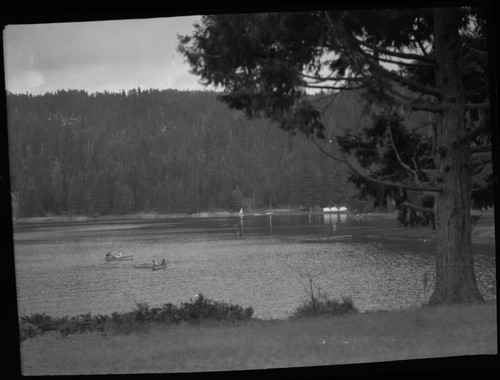 Sequoia Lake ?