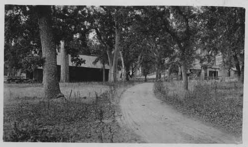 Unknown road to cabins, camps