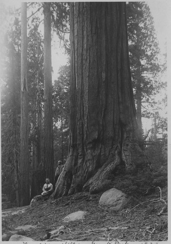 Mr. and Mrs. Willis Grant Park 1930