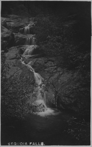 "Sequoia Falls"