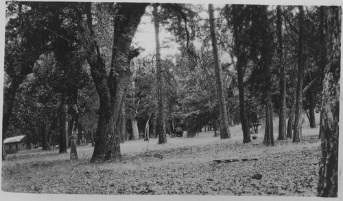 Unknown field, cabin