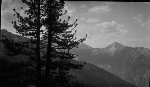 View of Paradise from Woods Creek trail