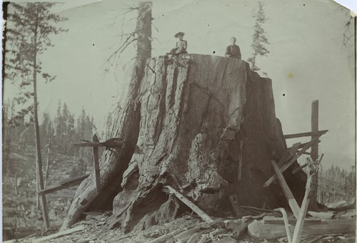 World's Fair stump "Chicago"