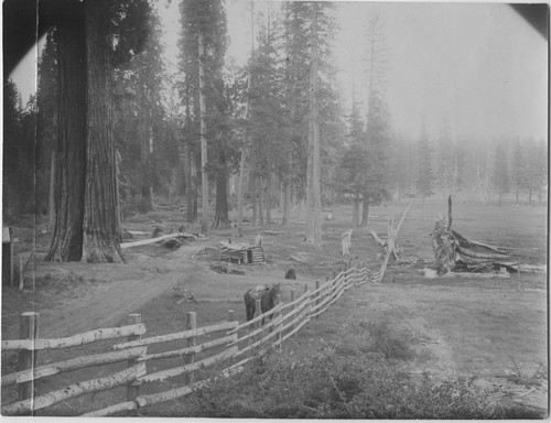 Indian Basin 1903