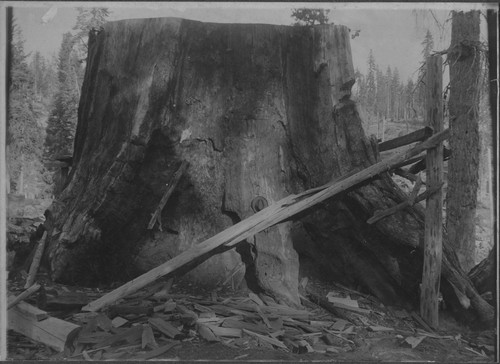 World Fair of Chicago Stump