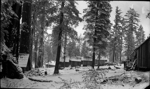 Logging camp winter