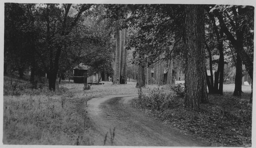 Unknown road, cabins
