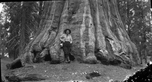 General Sherman Tree, Vernon Roberts ?