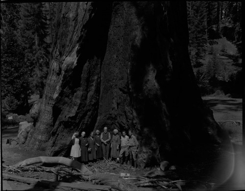 Outlaw picture at base of Grant Tree Sequoia 52 checkmarked