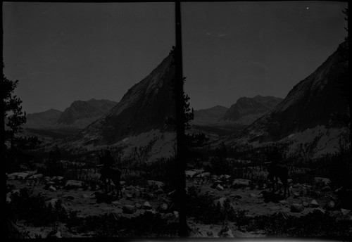 Mountain View Stereograph