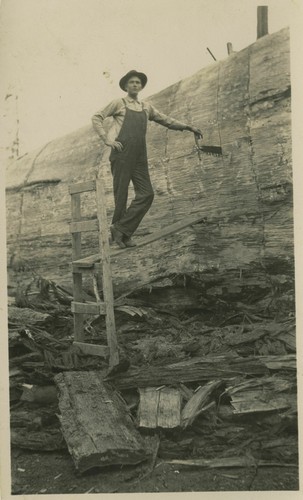 Logger sawing sequoia log