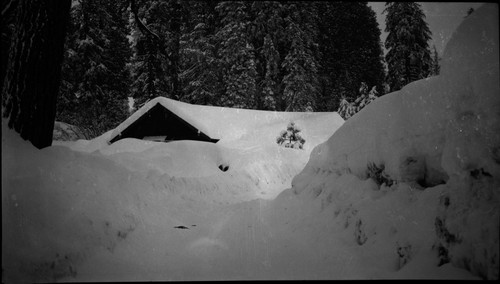 Snow scene Grant Grove Village