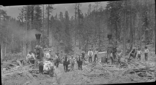 Loggers, steam engines