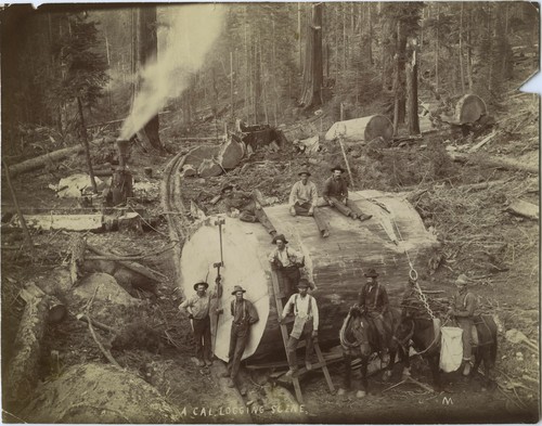 A CAl. Logging Scene