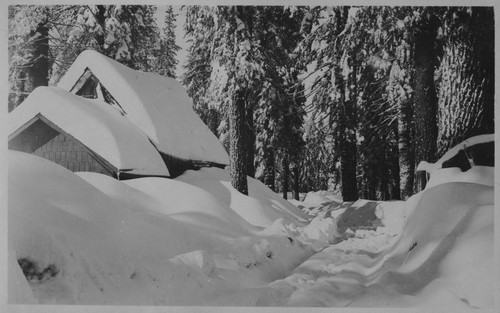 Houses in snow