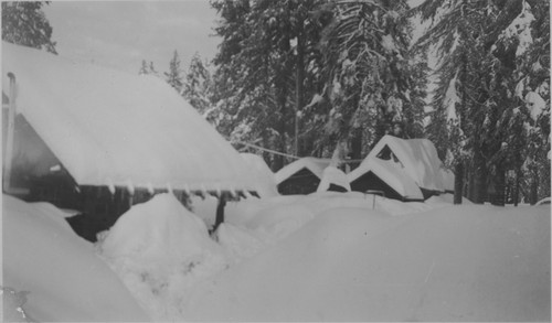 Buildings covered in snow