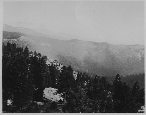 Unknown, trees, mountains