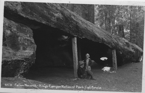 "GR-10 Fallen Monarch - Kings Canyon National Park, California"